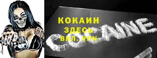 PSILOCYBIN Богородицк