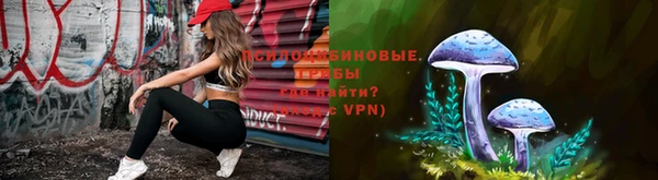 спайс Богородск