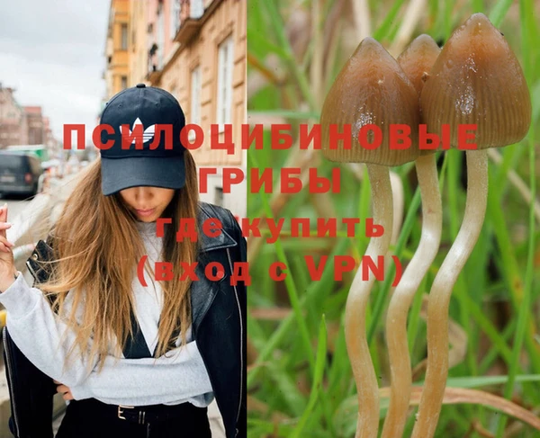 герыч Богданович