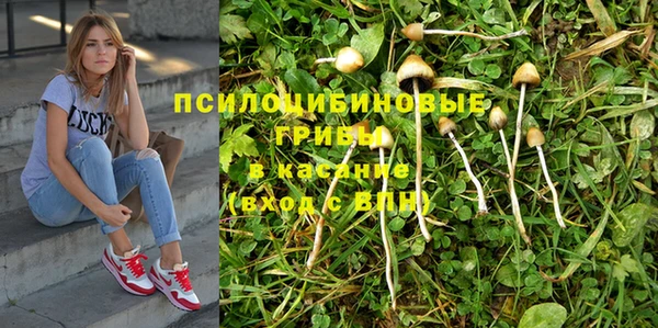 герыч Богданович