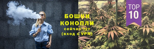PSILOCYBIN Богородицк