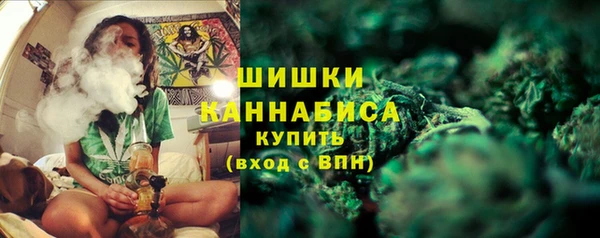 PSILOCYBIN Богородицк