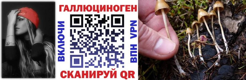 цены наркотик  Ессентуки  Псилоцибиновые грибы мицелий 